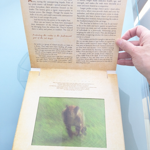 Safari: A Photicular Book by Kainen and Kaufman - Animated Jungle Book Hardcover - Picture 7 of 10